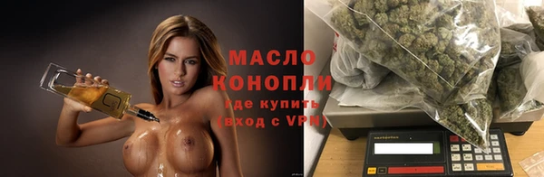 СК Алексин