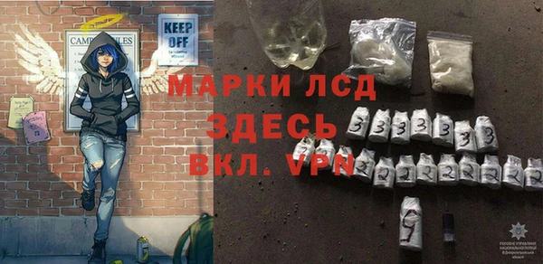 ECSTASY Алзамай