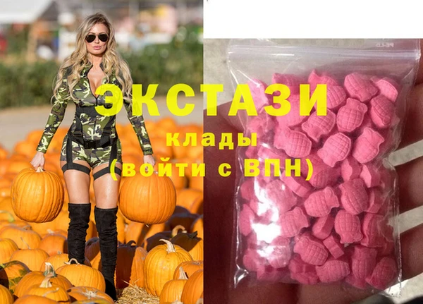 СК Алексин