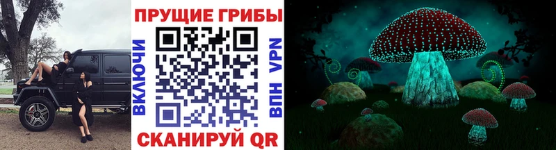 Галлюциногенные грибы MAGIC MUSHROOMS Новая Ляля