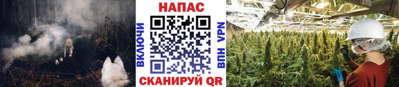 Шишки марихуана гибрид Новая Ляля